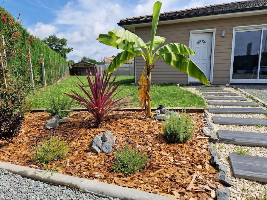 La Villa Des Pins Maison Standing 7 Pers Terre Et Mer Brach Zewnętrze zdjęcie